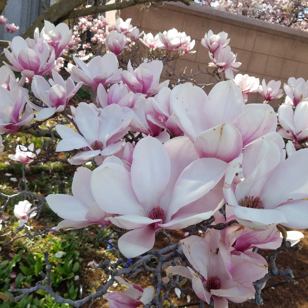 Meet your Posher, Kanita